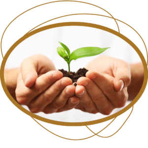 design sem nome (13)